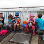phoca_thumb_m_veverky na olen 8 Fotogalerie